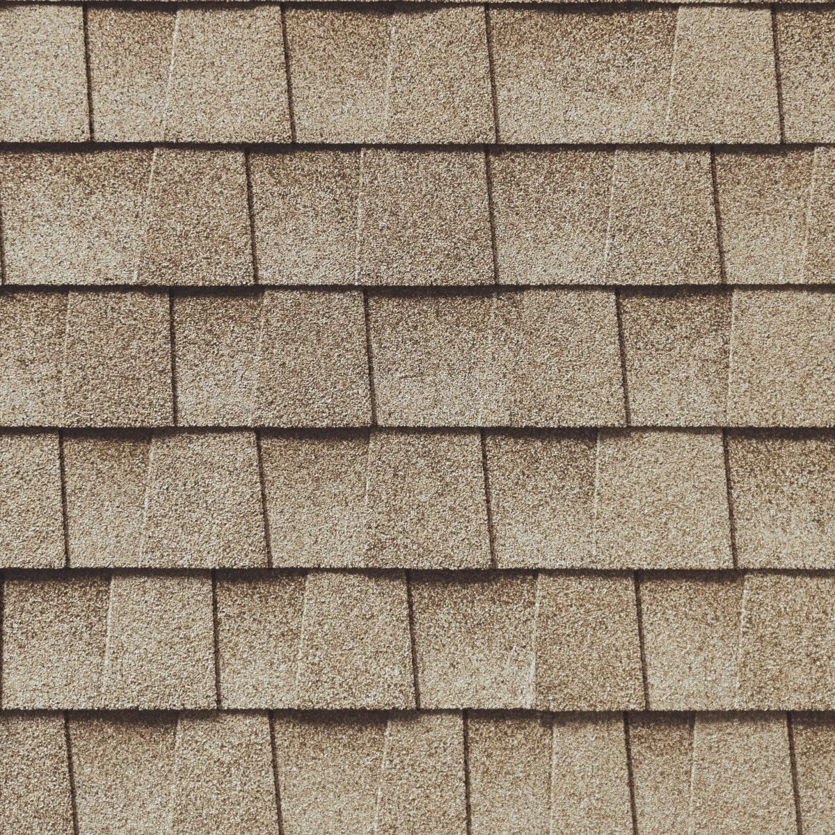 360 Roofing & Construction Images